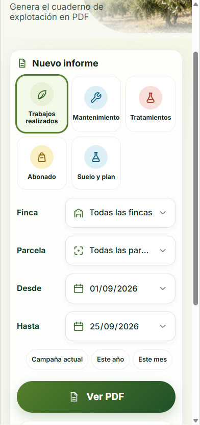 Informes en PDF