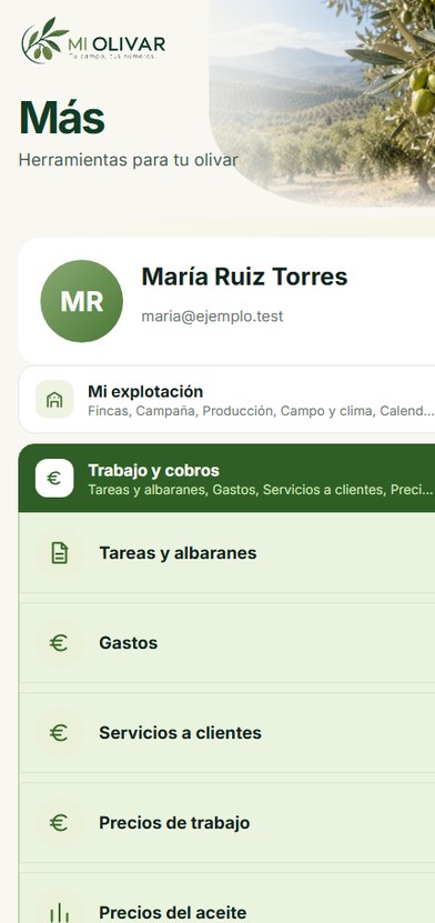 Menú Más, un bloque desplegado