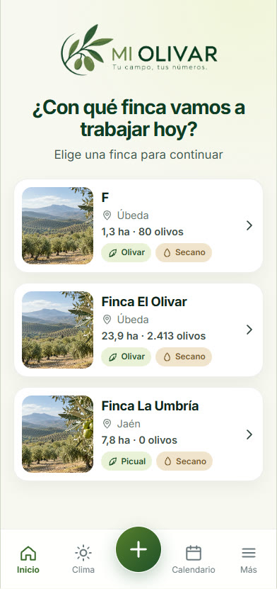 Elegir finca