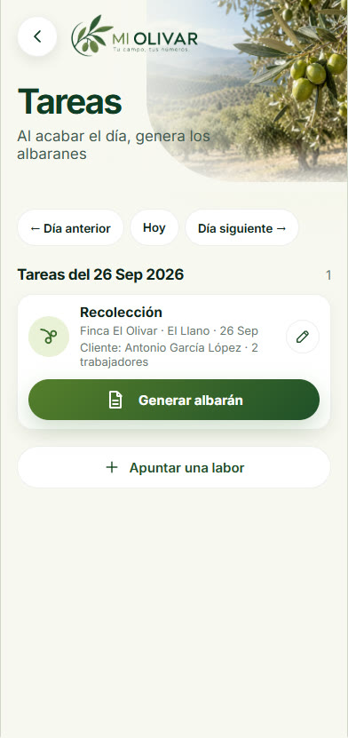 Tareas del día